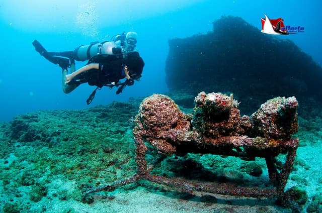 Scuba Diving Puerto Vallarta Undersea Arcos or Marietas