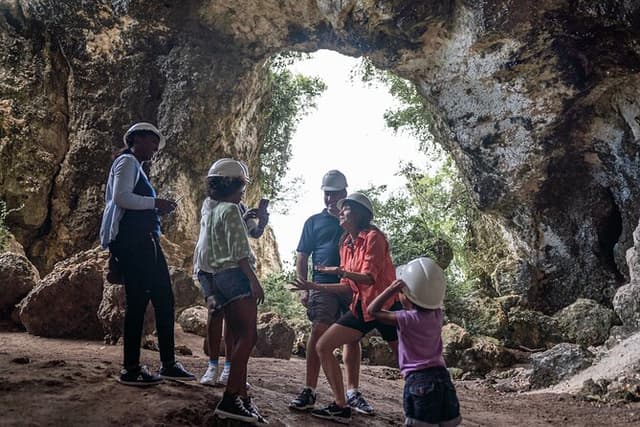 Let me show you MY Island Tour With visit to El Yunque