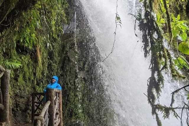 Poas Volcano and La Paz Waterfall Gardens Private Tour