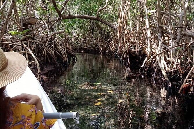 Best Kayak Tours in Merida | Compare & Book