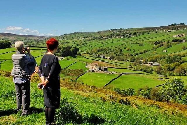 Private "All Creatures Great and Small" Yorkshire Dales Tour from York