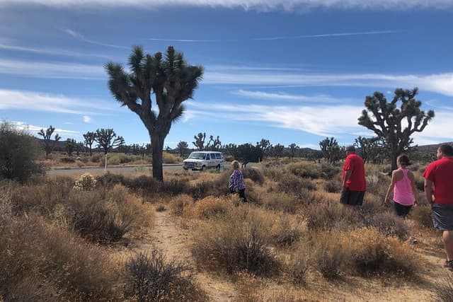 Joshua Tree National Park Paved Road Tour