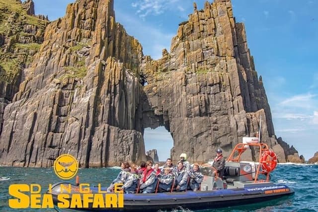 Exhilarating Rib experience - Dingle sea safari