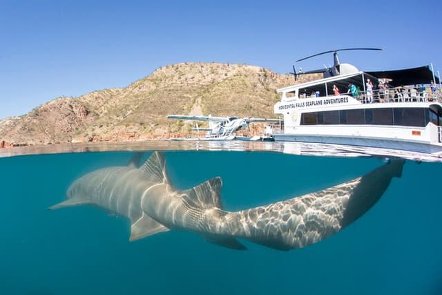Derby to Horizontal Falls Half Day Adventure