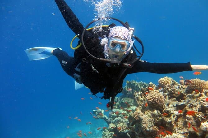 Best Tiran Island Snorkeling Tours in Sharm el Sheikh