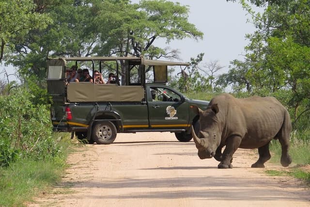 Kruger National Park sunrise Morning Private safari