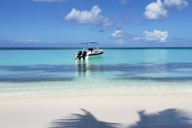 Small Group: Saona Island Full Day Tour