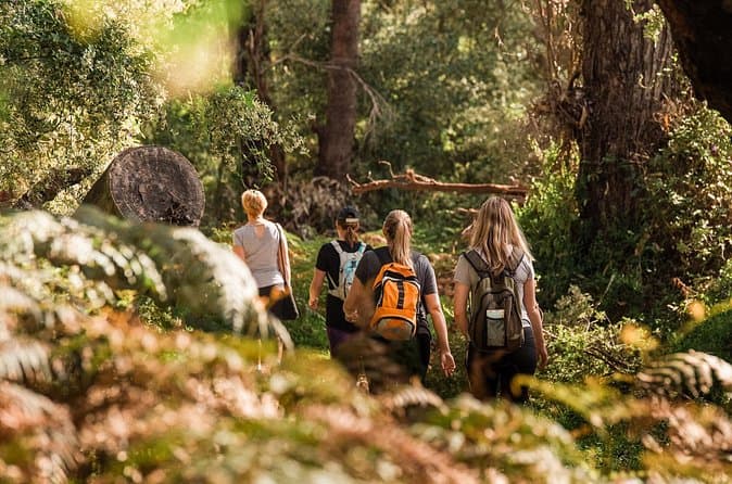 Best Bibbulmun Track Tours & Hikes Near Perth