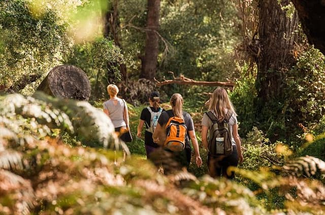 Yanchep Ultimate Adventure Guided Hike Tour
