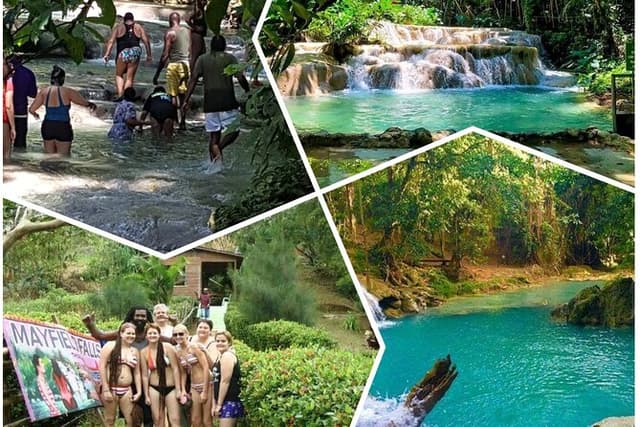 Mayfield Falls,Blue Hole,Rick's Café,Ganja Farm tour-Pick any 3