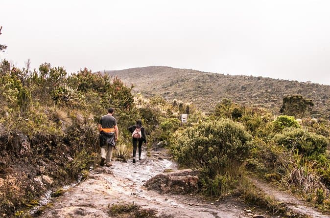 Top-Rated Chingaza Park Tours from Bogotá