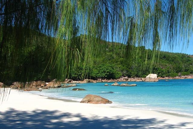 Beaches, swimming & snorkeling | Mahe, Seychelles | Private Tour