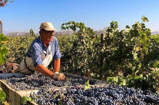 Private Full Day Pablo Neruda Museum, Pomaire & Undurraga Winery