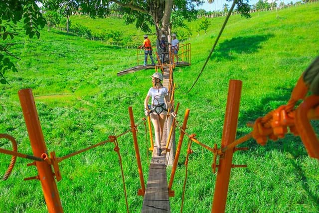 Punta Cana Zipline - 8 lines and a suspenseful hanging bridge