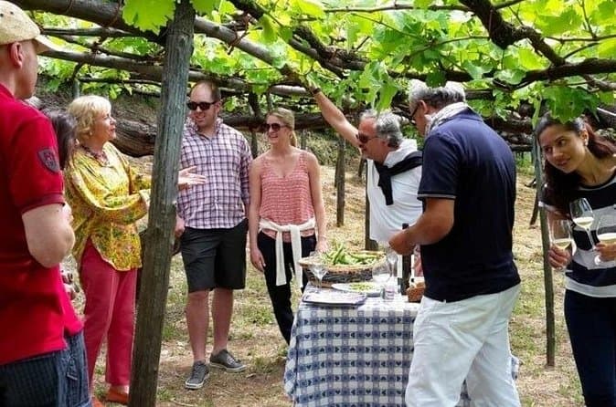 Compare Best Amalfi Wine Tours