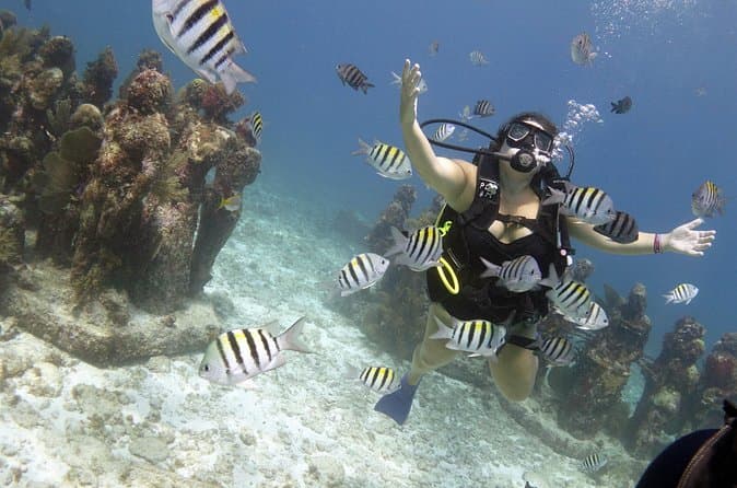MUSA Underwater Museum: Diving & Snorkeling Tours