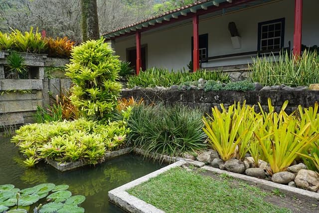 Landscape Experience in Rio: Inspired by Roberto Burle Marx