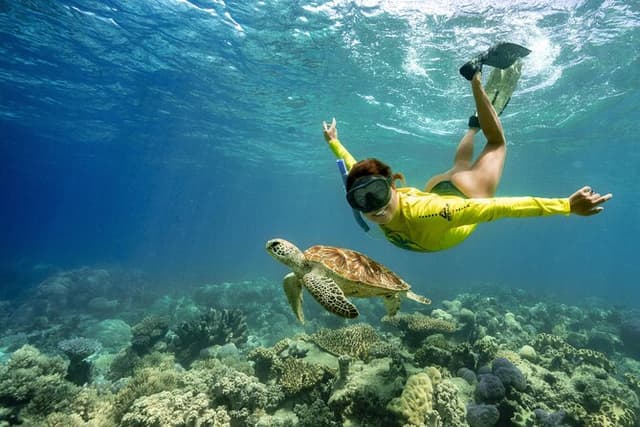 Ocean Safari Great Barrier Reef Experience in Cape Tribulation
