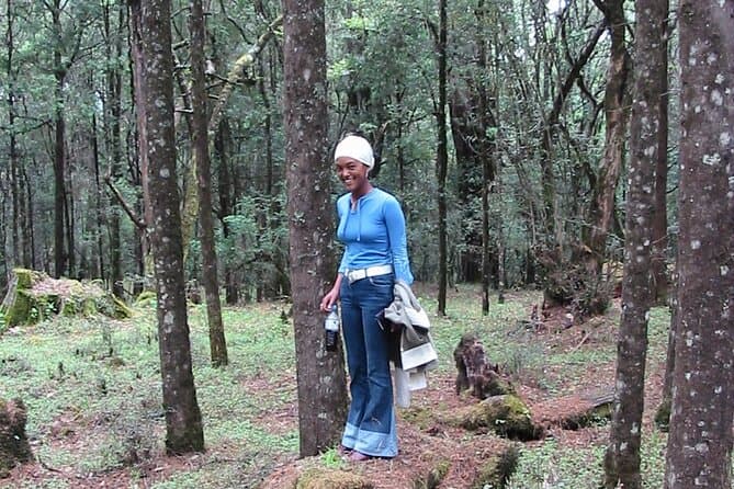 Explore Menagesha Suba Forest: Addis Ababa's Green Escape