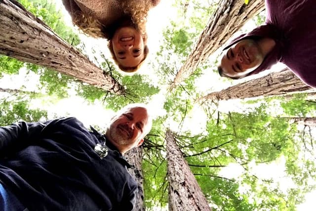 Private Full-Day San Francisco City Tour + Muir Woods 7 hr, Max 6