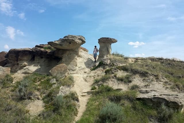Drumheller Dinosaur Valley & Horseshoe Canyon Adventure Day Tour