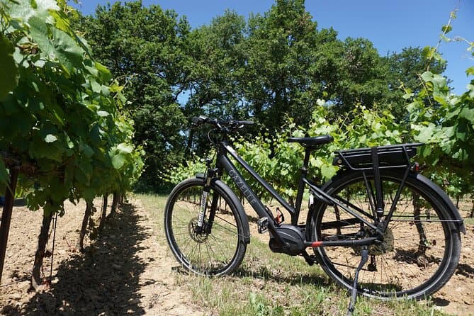 Best Luberon E-bike Adventures from Avignon