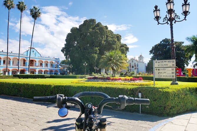 Best Bike Tours to El Árbol del Tule