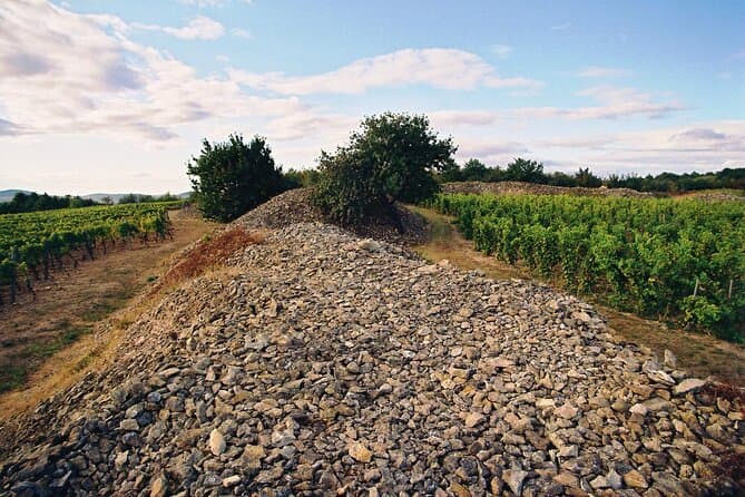 Best Tokaj Wine Tasting & Vineyard Tours from Miskolc