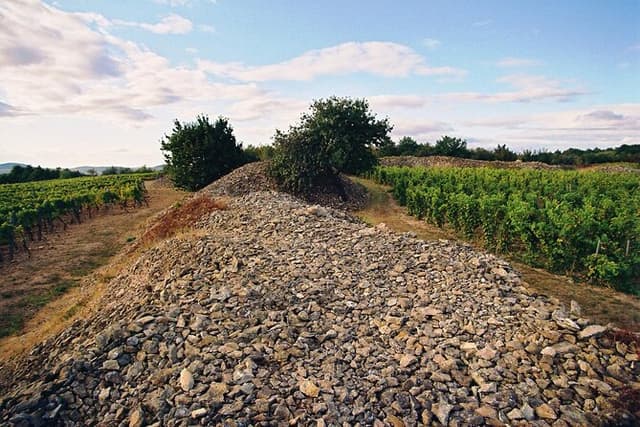 Full-Day Custom Tokaj Wine Tour