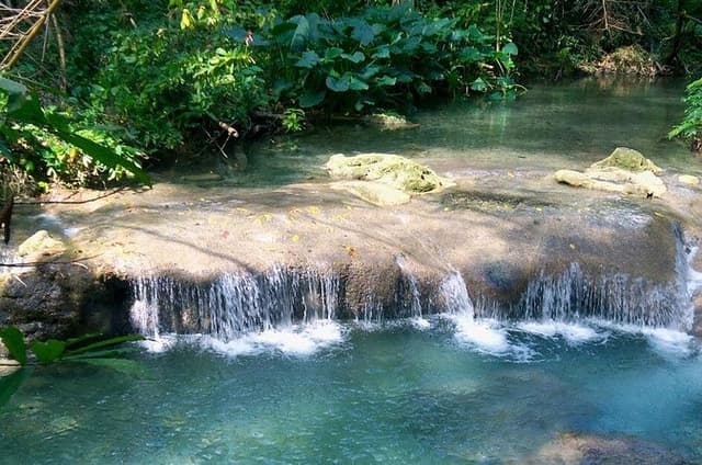 Mayfield Falls River Walk Private Tour