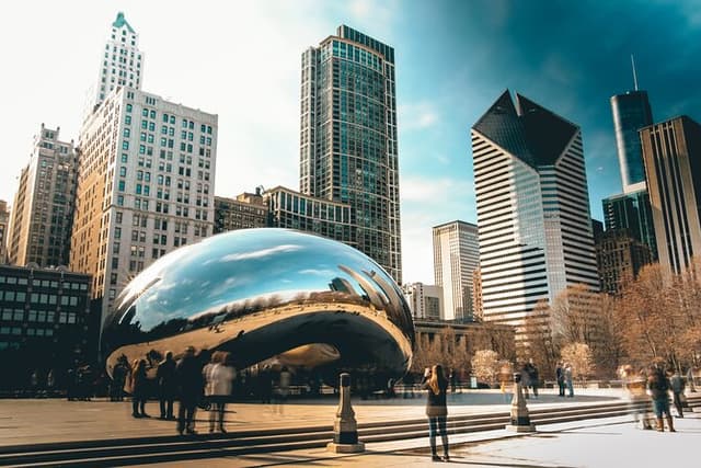 Private Chicago Guided Tour with Hotel Pickup
