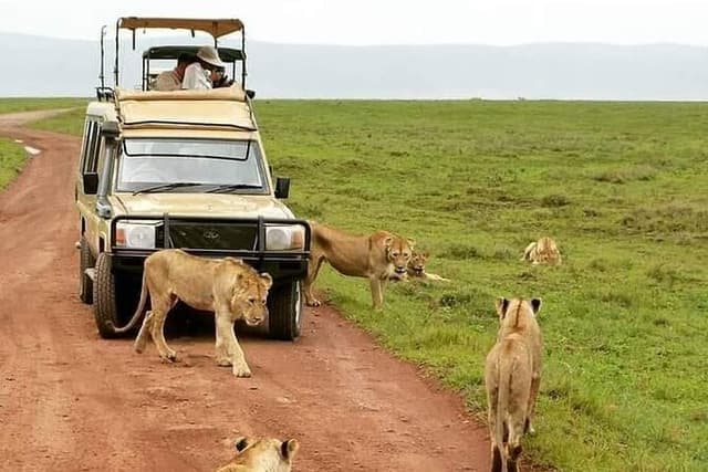 5 Days Safari Tarangire, Serengeti, Ngorongoro Crater and Lake Manyara