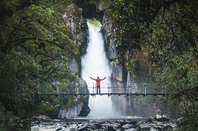 Self-Guided Milford Track Day Walk - Milford Sound