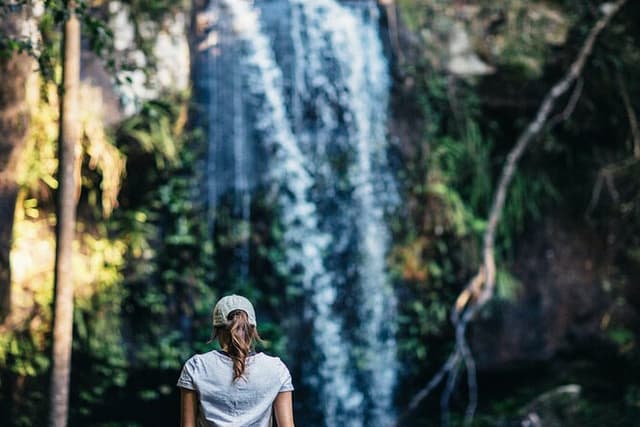 The Tastes of Tamborine Mountain