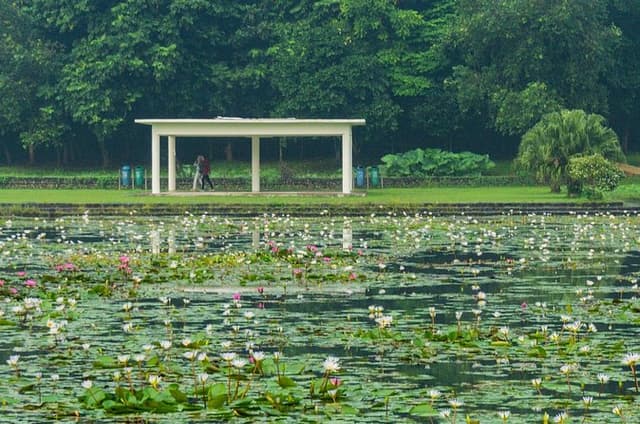 Bogor City Full-Day Private Tour from Jakarta with Pick Up