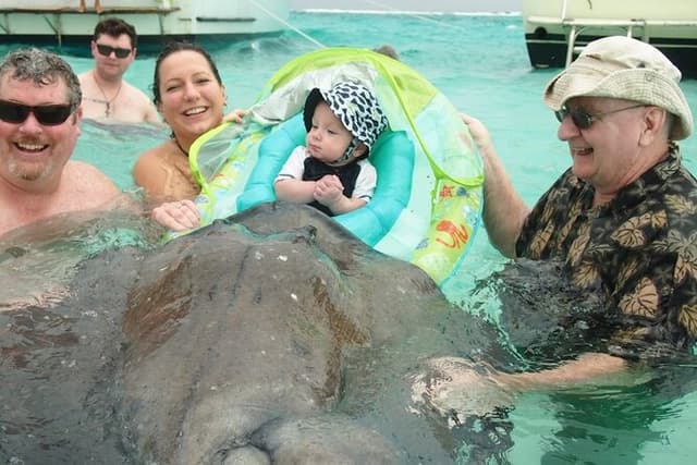 Stingray City Experience Plus One Snorkeling Stop