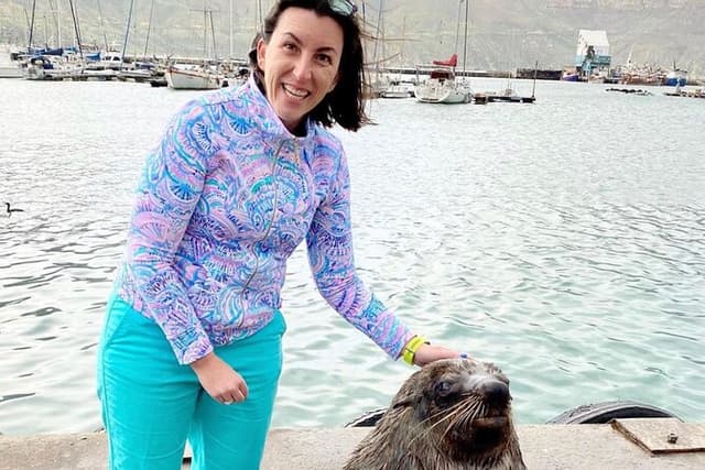 Seal Island, World of Birds and Cape City Center Tour.