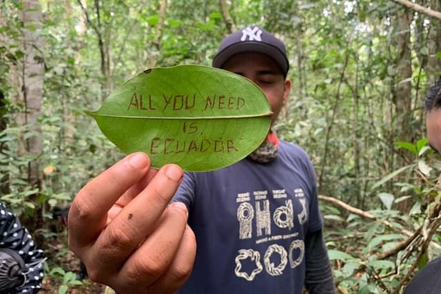 Cuyabeno Dolphin Lodge https://cuyabenodolphinlodge.com/