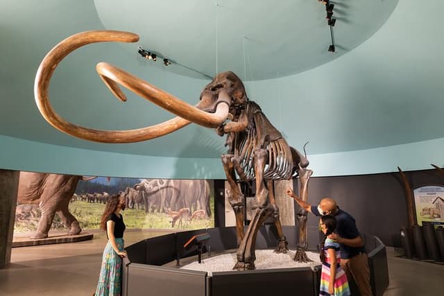 La Brea Tar Pits and Museum Admission Ticket with Excavator Tour