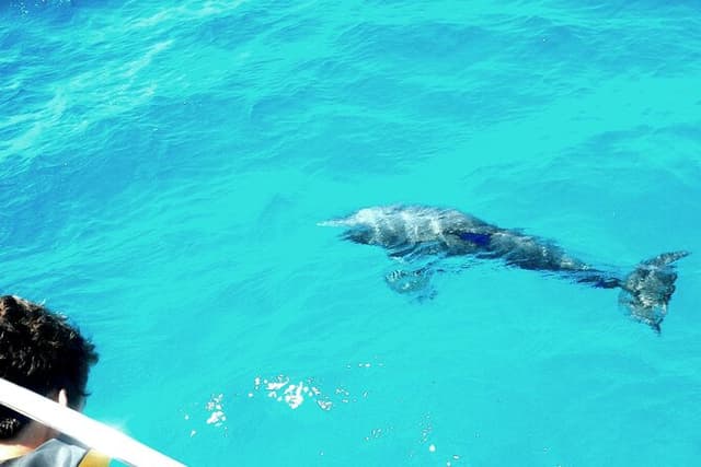 Private Sailing Tour of Pirate Waters and Shipwrecks