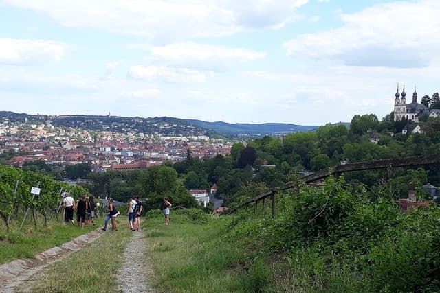 Wine rally in Würzburg with tasting