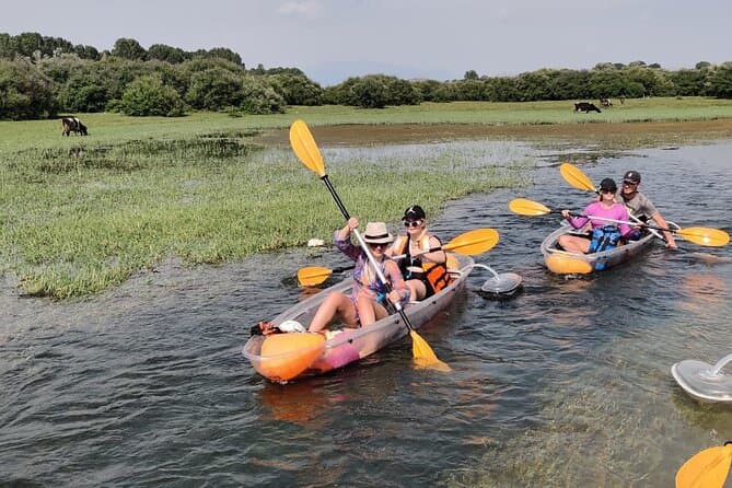 Unforgettable Lake Shkodra Boat & Water Bike Tours in Shkoder
