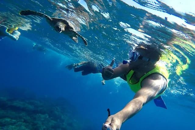 Pacheco Tours - Snorkeling Tour in Caño Island from Drake Bay