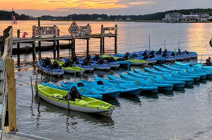 Top-Rated Paddleboard Tours in Rehoboth Bay