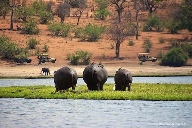Livingstone to South Luangua National Park package