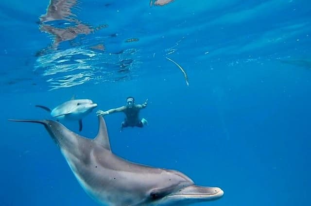 Create-Your-Own Luxury Adventure in Bimini with photographer