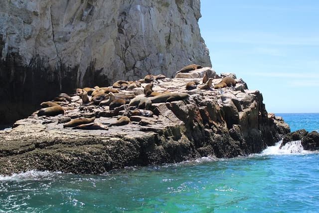 Shared Tour to the Arch of Cabo San Lucas