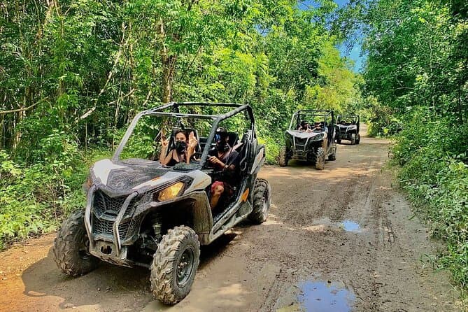 Best Guided Bike Tours in Playa del Carmen, Mexico