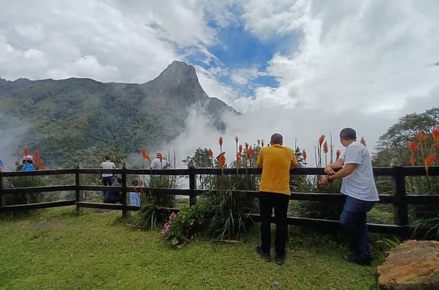 Tour Cocora Valley hummingbird circuit