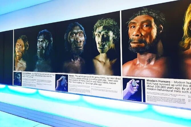 Cradle of Humankind Pretoria Tour: Fossils & Wonder